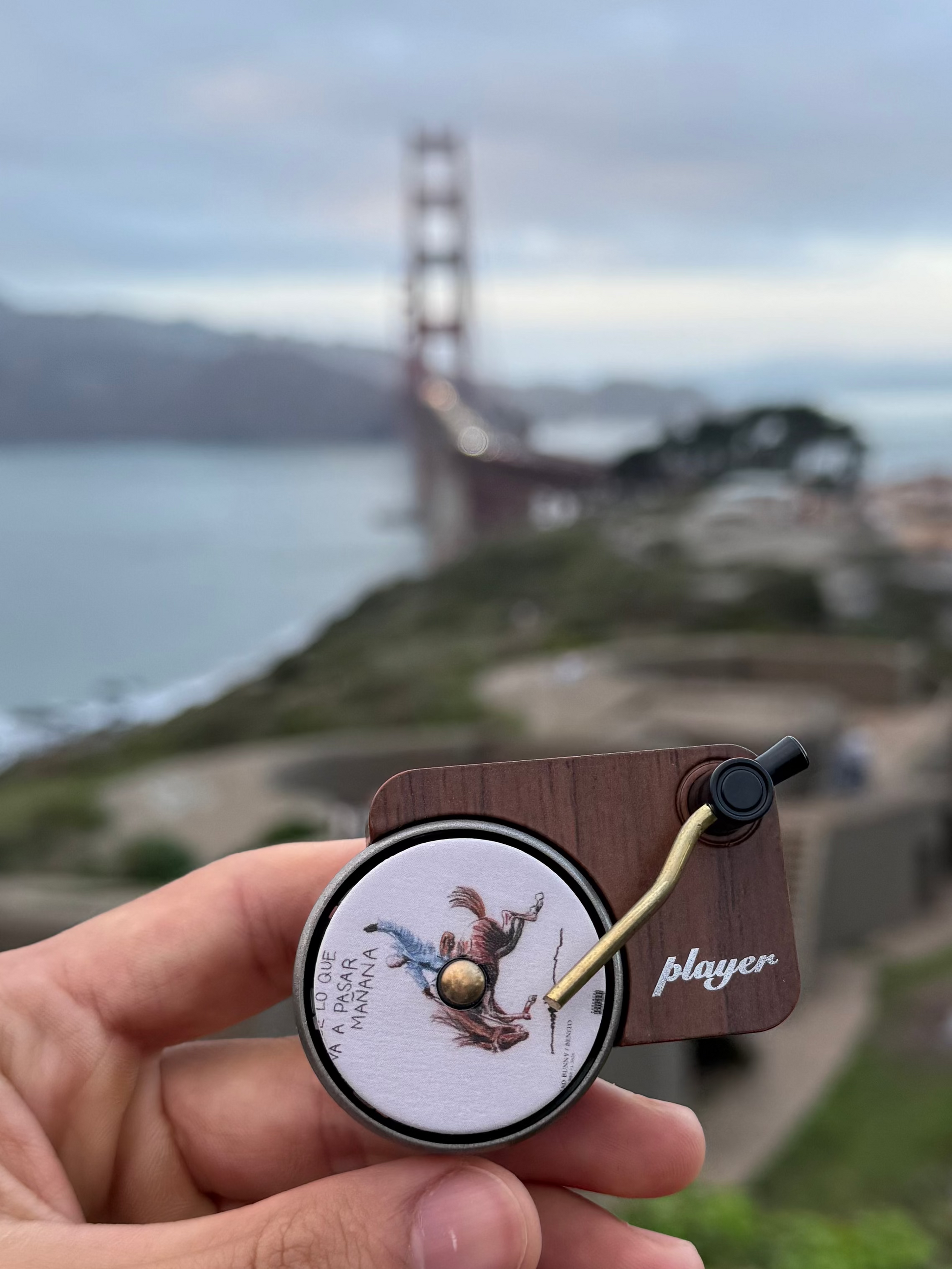 Vinyl Car Air Freshener